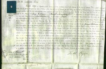 Court of Common Pleas - Margaret Lister, Eliza Yeo and Mary Ann Crews-Original Ancestry