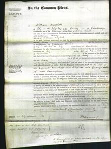 Court of Common Pleas - Mary Haylock-Original Ancestry