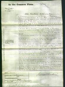 Court of Common Pleas - Mary Ann Howell-Original Ancestry