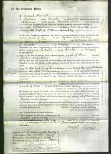 Court of Common Pleas - Sophia Gamble and Mary Grimbley-Original Ancestry