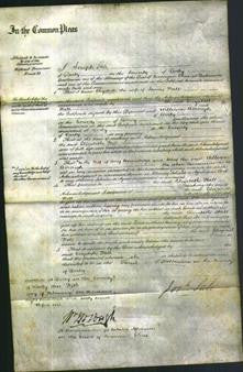 Court of Common Pleas - Elizabeth Hall-Original Ancestry