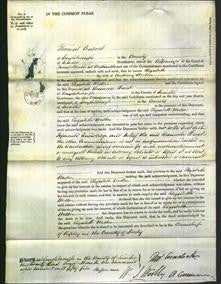 Court of Common Pleas - Elizabeth Weston-Original Ancestry