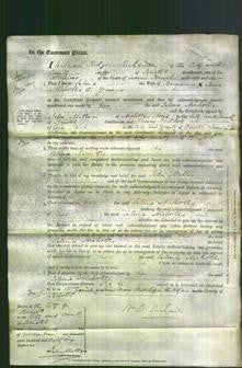 Court of Common Pleas - Selina Nicholls-Original Ancestry