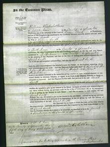 Court of Common Pleas - Sarah Smith-Original Ancestry