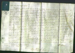 Court of Common Pleas - Sarah Fussell and Caroline Nelson-Original Ancestry