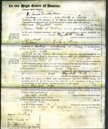 Court of Common Pleas - Elizabeth Wells-Original Ancestry