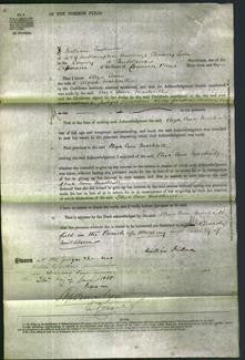 Court of Common Pleas - Eliza Ann Mackrill-Original Ancestry