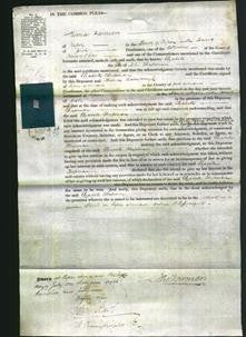 Court of Common Pleas - Elizabeth Chapman-Original Ancestry