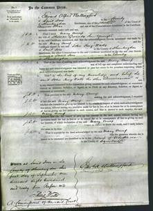 Court of Common Pleas - Mary Ann Grounds-Original Ancestry