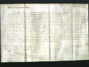 Court of Common Pleas - Ann Swaine-Original Ancestry