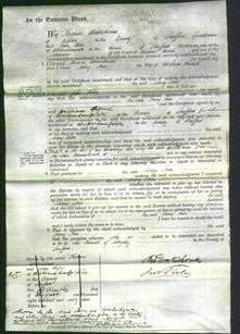 Court of Common Pleas - Mary Ann Harkill-Original Ancestry