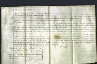 Court of Common Pleas - Elizabeth Barrett-Original Ancestry