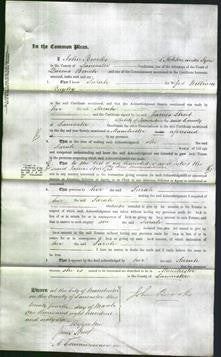 Court of Common Pleas - Sarah Bayley-Original Ancestry