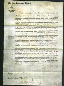 Court of Common Pleas - Elizabeth Tibbett-Original Ancestry