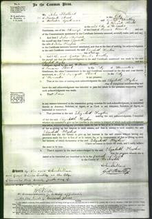 Court of Common Pleas - Elizabeth Hughes-Original Ancestry