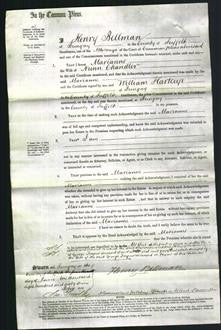 Court of Common Pleas - Marianne Chandler-Original Ancestry