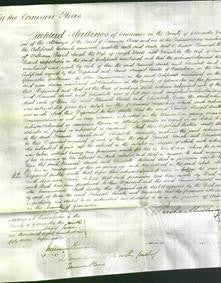 Court of Common Pleas - Hannah Beard, Sarah Wools and Elizabeth Beard-Original Ancestry