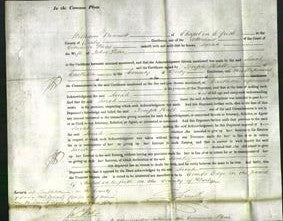 Court of Common Pleas - Sarah Potter-Original Ancestry