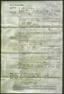 Court of Common Pleas - Mary Thrift-Original Ancestry