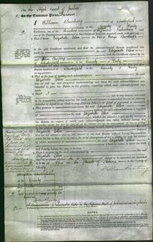 Court of Common Pleas - Elizabeth Ellen Brocksopp-Original Ancestry