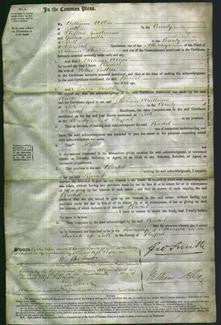 Court of Common Pleas - Rachel Sutton-Original Ancestry