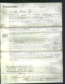 Court of Common Pleas - Elizabeth Rogers-Original Ancestry