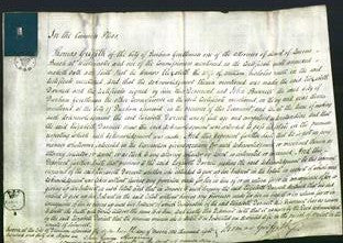 Court of Common Pleas - Elizabeth Darnell-Original Ancestry