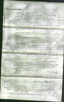 Court of Common Pleas - Betsey Holland-Original Ancestry