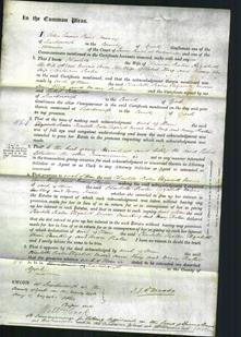 Court of Common Pleas - Charlotte Paxton, Elizabeth Morris, Ann King and Mary Paxton-Original Ancestry