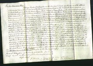 Court of Common Pleas - Emma Weston-Original Ancestry