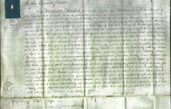 Court of Common Pleas - Dorothy Eleana Harrison-Original Ancestry