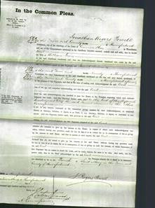 Court of Common Pleas - Cecil Evans-Original Ancestry