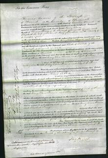 Court of Common Pleas - Mary Ann Brown and Elizabeth Pacey-Original Ancestry