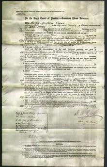 Court of Common Pleas- Hannah Lavinia Morris, Rosina Eliza Dryburgh, Isabella Emma Goodenough and Matildda Highman Lovell-Original Ancestry