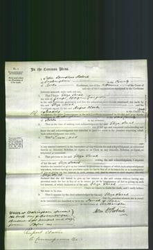 Court of Common Pleas - Eliza Sarah Gregori-Original Ancestry