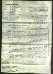 Court of Common Pleas - Mary Ann Morgan-Original Ancestry