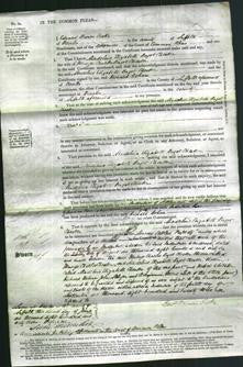 Court of Common Pleas - Madeline Elizabeth Bagot Chester-Original Ancestry