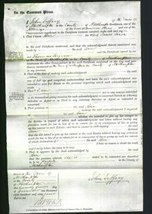 Court of Common Pleas - Ann Singe-Original Ancestry