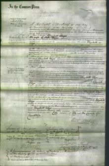 Court of Common Pleas - Elizabeth Elgar