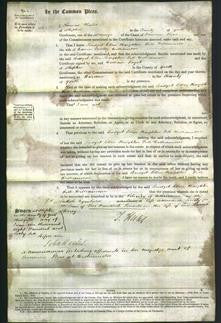 Court of Common Pleas - Bridget Ellen Haighton Fell Williamson-Original Ancestry