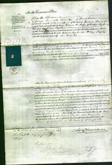 Court of Common Pleas - Maria Taylor, Mary Taylor-Original Ancestry