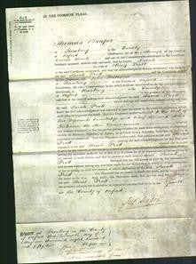 Court of Common Pleas - Sarah Pratt-Original Ancestry