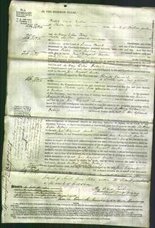 Court of Common Pleas - Jane Margaret Austin-Original Ancestry