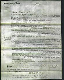 Court of Common Pleas - Charlotte Hatton-Original Ancestry