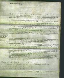 Court of Common Pleas - Lydia Rebecca Metcalfe