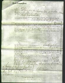 Court of Common Pleas - Augusta Annie Walmisley-Original Ancestry