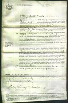 Court of Common Pleas - Mary Painter-Original Ancestry
