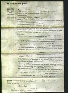 Court of Common Pleas - Eleanor Chappell-Original Ancestry