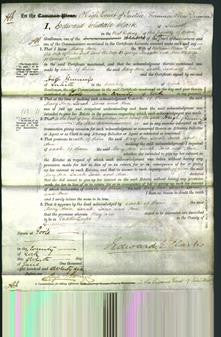 Court of Common Pleas - Mary Ann Wressel, Sarah Scutt, Jane Mapples, Ann Powell-Original Ancestry