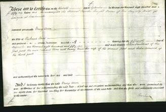 Court of Common Pleas - Mary Ann Bore-Original Ancestry